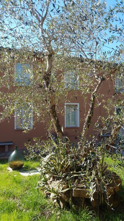 Vila Ulivo Della Querce Querce  Exteriér fotografie