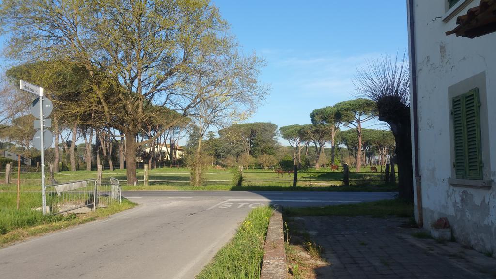 Vila Ulivo Della Querce Querce  Exteriér fotografie