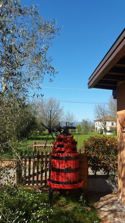 Vila Ulivo Della Querce Querce  Exteriér fotografie